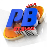 Rádio Pedra Branca FM 87,9